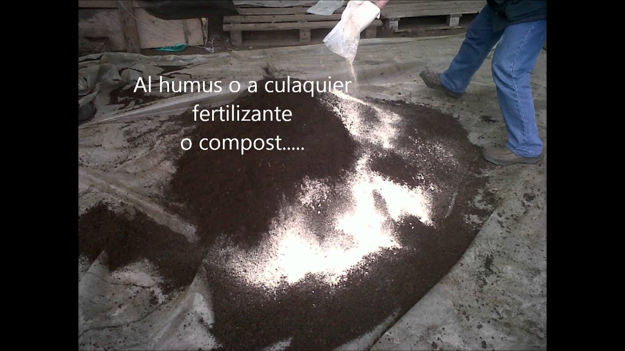 silicio TIERRA DE DIATOMEAS MANUAL 3186986886