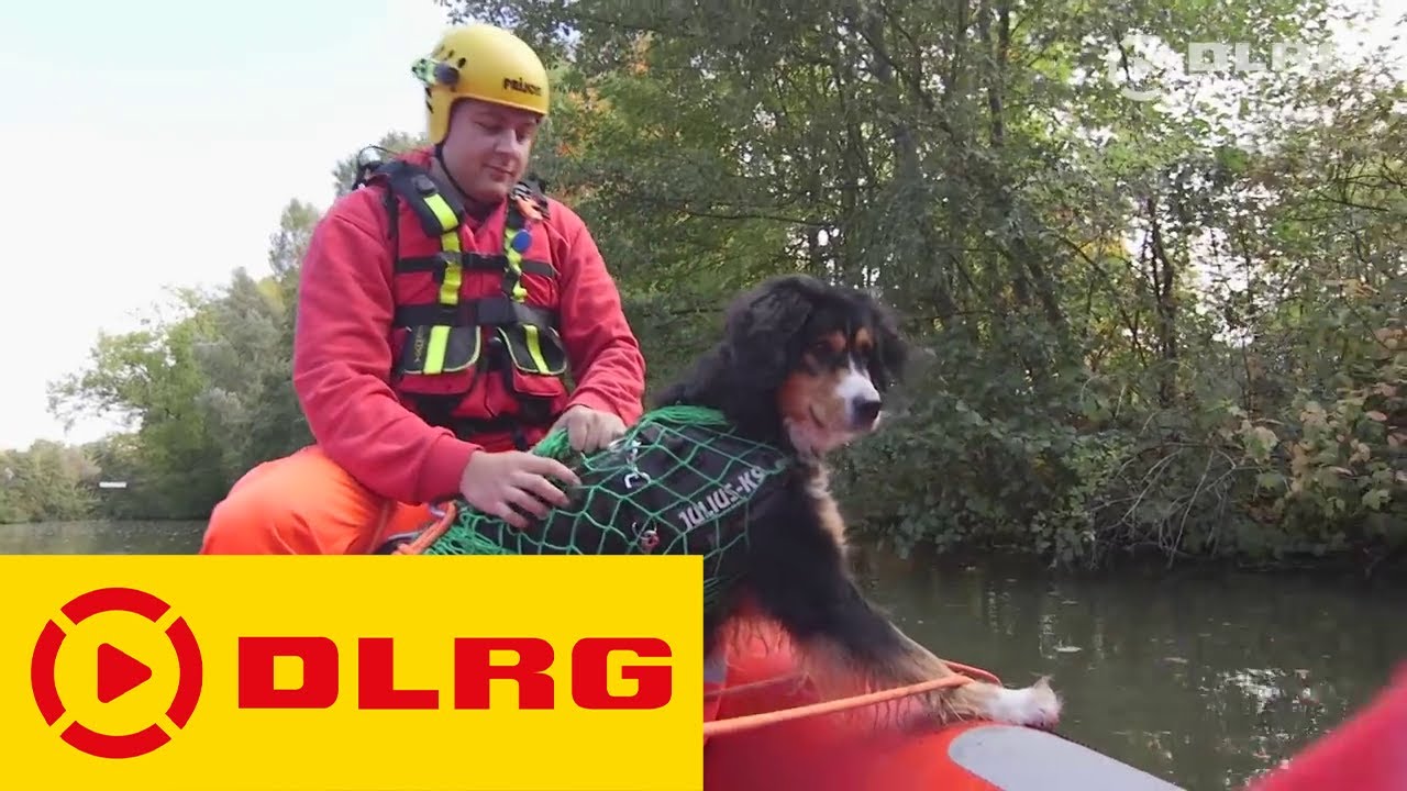 DLRG Tierrettung