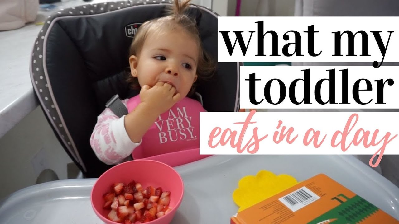 WHAT MY TODDLER EATS IN A DAY 2019 | EASY TODDLER MEAL IDEAS