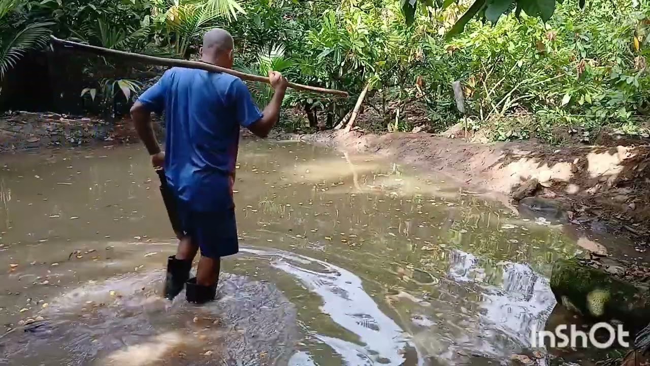 Я бы ни за что не променял эту ферму, вот почему (16.03.2026)