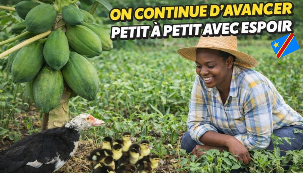 Rien d’extraordinaire : la ferme avance, nouveaux canetons et travail à venir🌱
