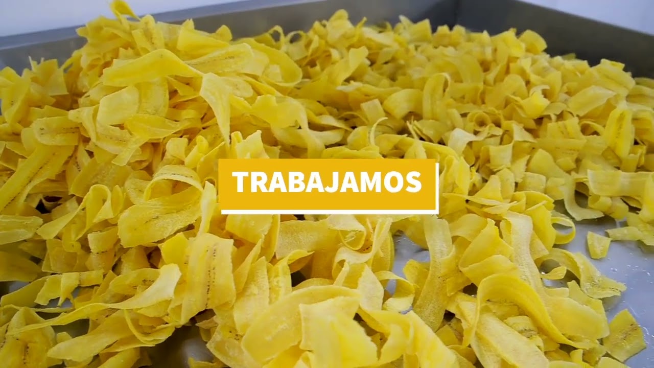 PLANTA DE PRODUCCIÓN DE CHIFLES