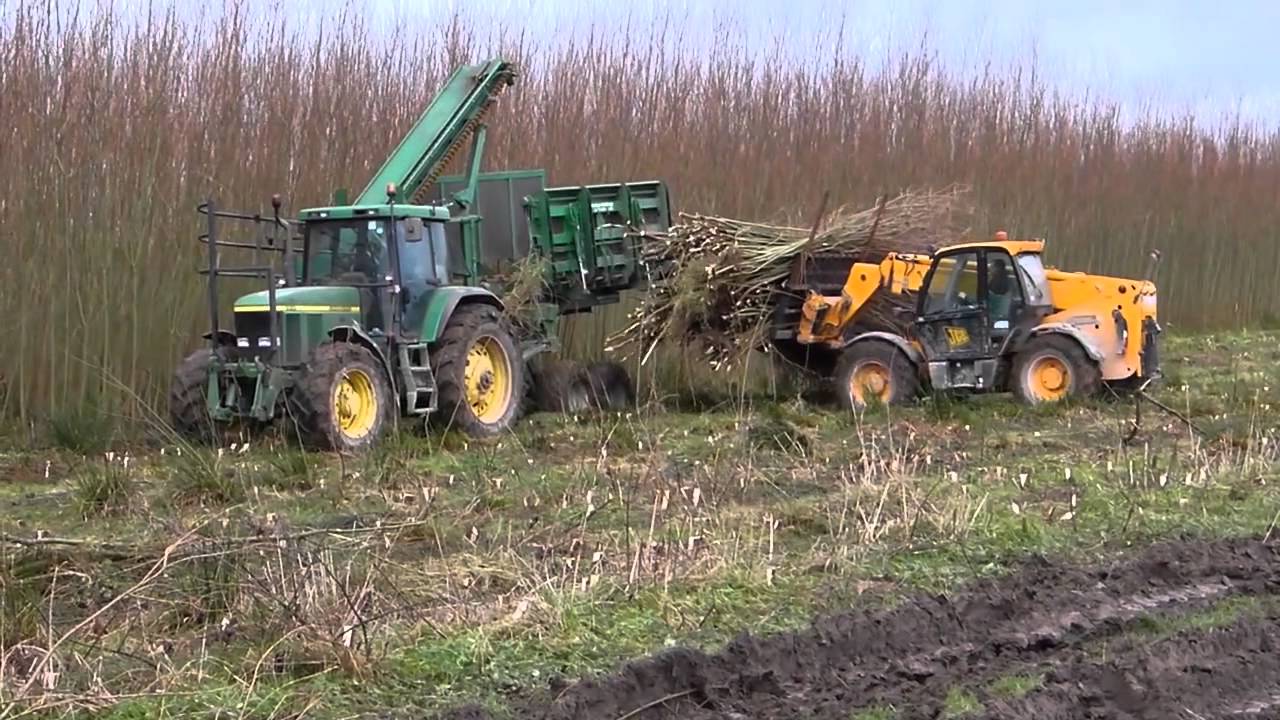 Short Rotation Coppice Harvesting and Forwarding