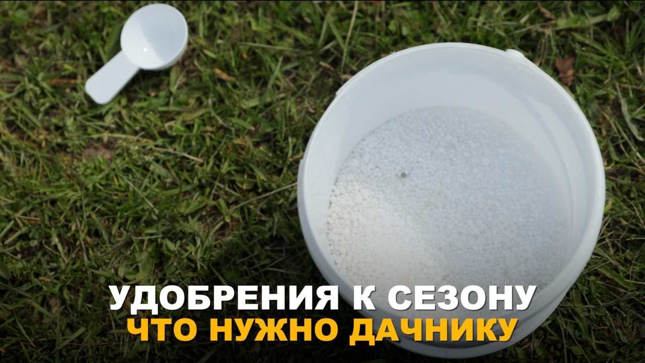 УДОБРЕНИЯ. НОВЫЙ СЕЗОН, НОВЫЕ ЗАКУПКИ. Выбор, нормы и применение удобрений в огороде.