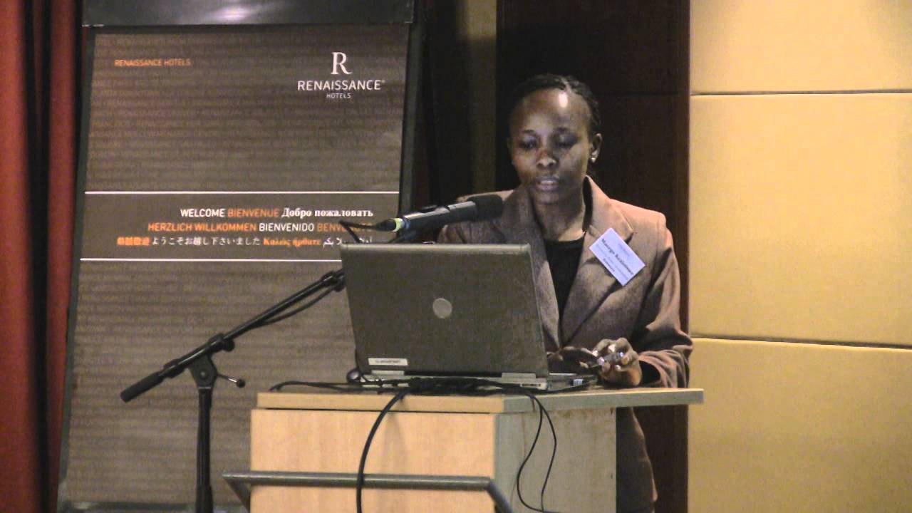 The Case of Botswana Power Corporation