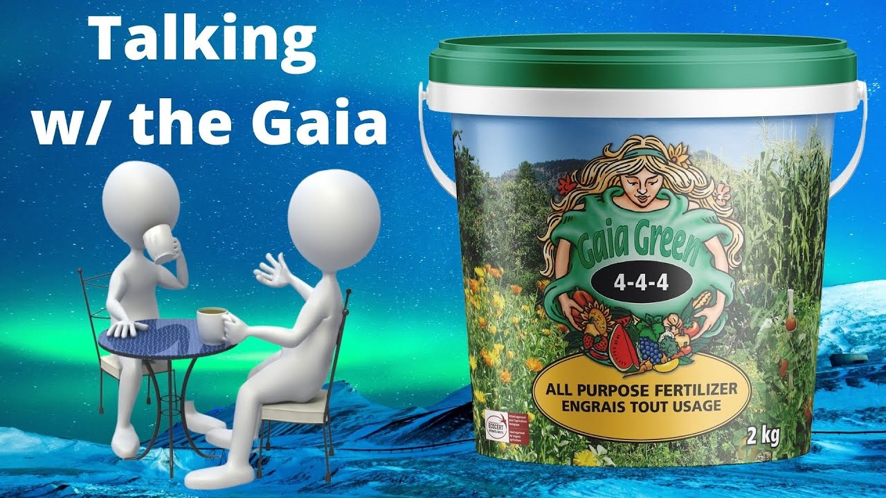 Conversation With Gaia Green (Pt 3)