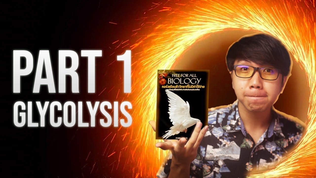 [ Free For All - REVISED  ]  การหายใจระดับเซลล์ - Part 1 ( Glycolysis )