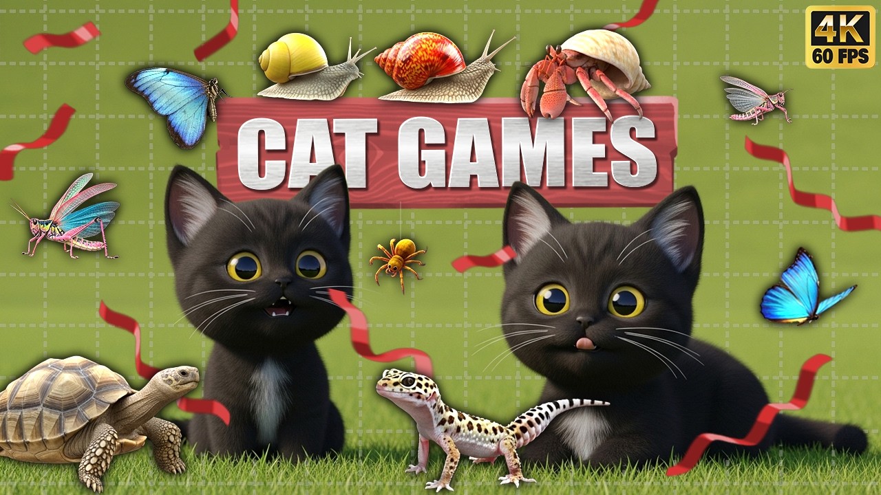 CAT GAMES 🐾3D Game for Cats | Video for Cats – Ultimate CAT TV #164😻 4K60FPS
