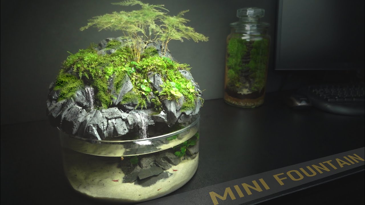Mini TableTop Fountain Aquaterrarium with Waterfall Plastic Bottle DIY Aquarium No co2 l No filter