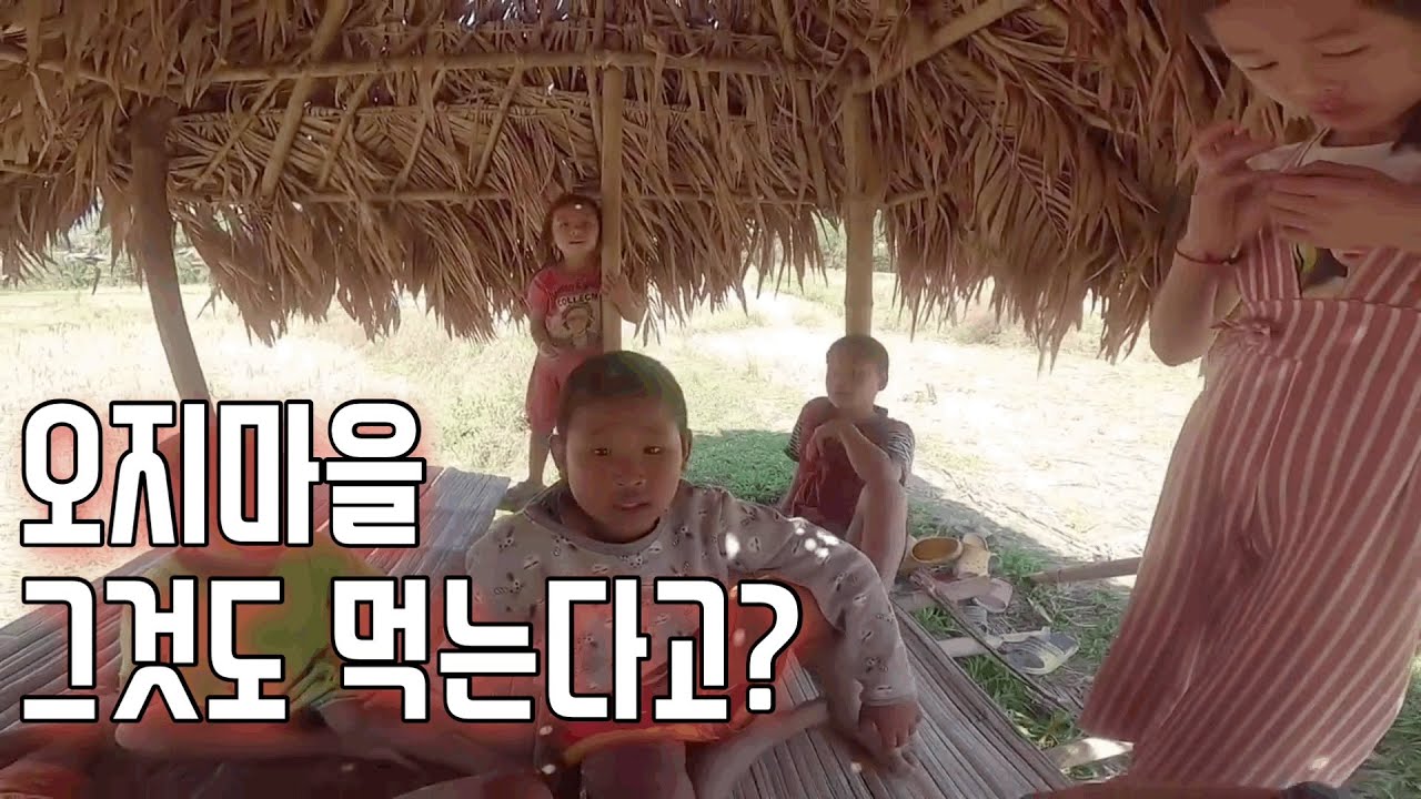 '쇠똥구리' 한국에선 마리당 