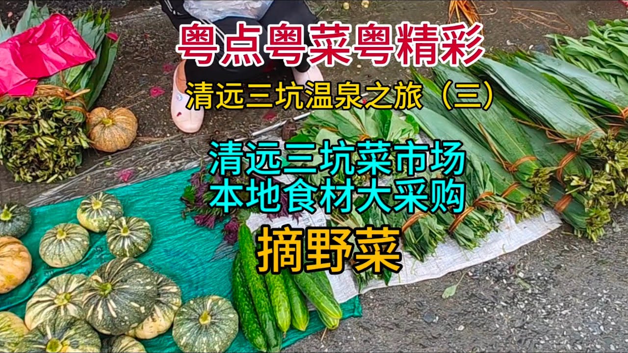 粤点粤菜粤精彩，清远三坑温泉之旅（三），三坑菜市场本地食材大采购，摘野菜，粤语中字幕2024-5-30