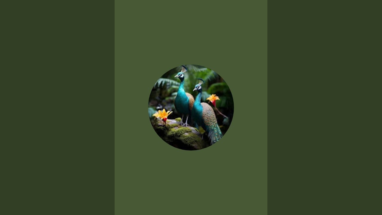 தமிழ் மகள் சேனல் நேரலையில்! அனைவருக்கும் மதிய வணக்கம்