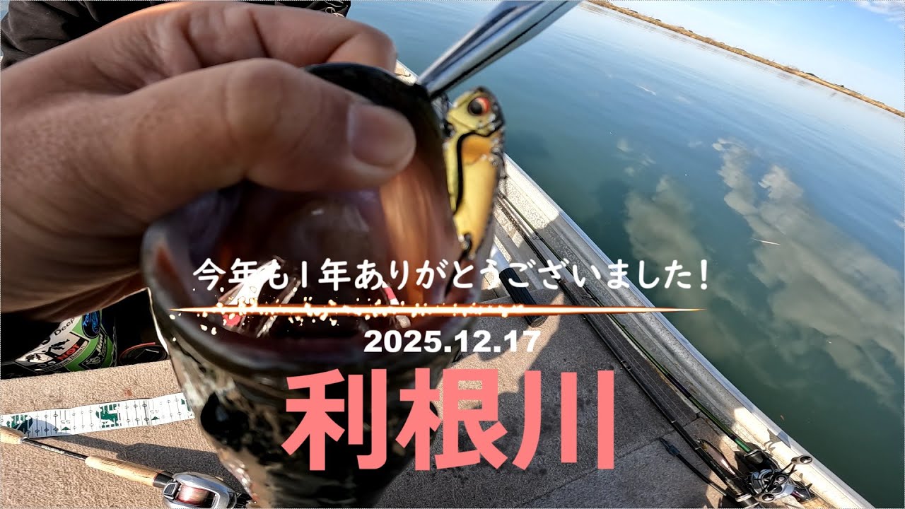 【利根川】あの木の下で...冬の定番エリアで釣り納め 2025.12.17