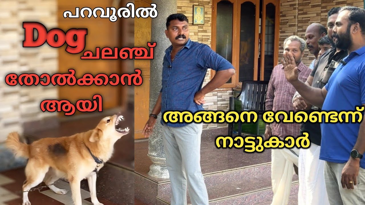 പറഞ്ഞതുപോലെ മതിയെന്ന് അവർ.. Dog challenge.. Leash talks
