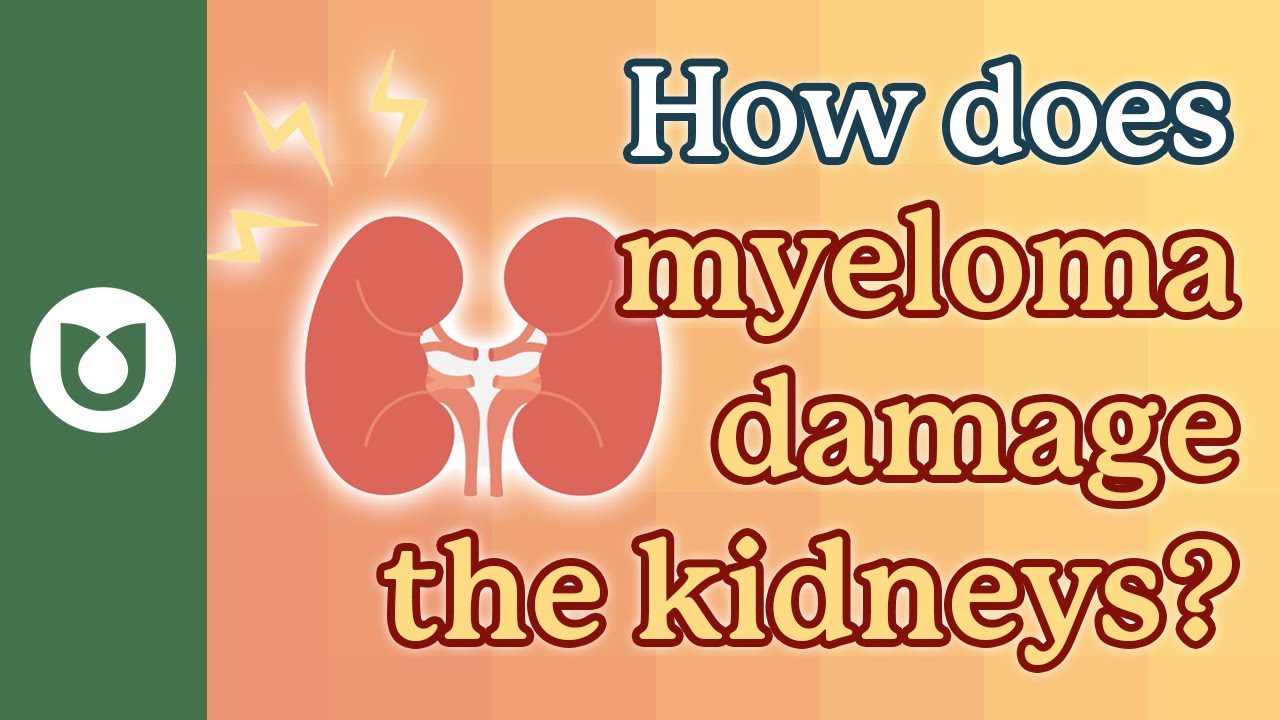 How does myeloma  and treatments used to treat this blood cancer damage the kidneys? 