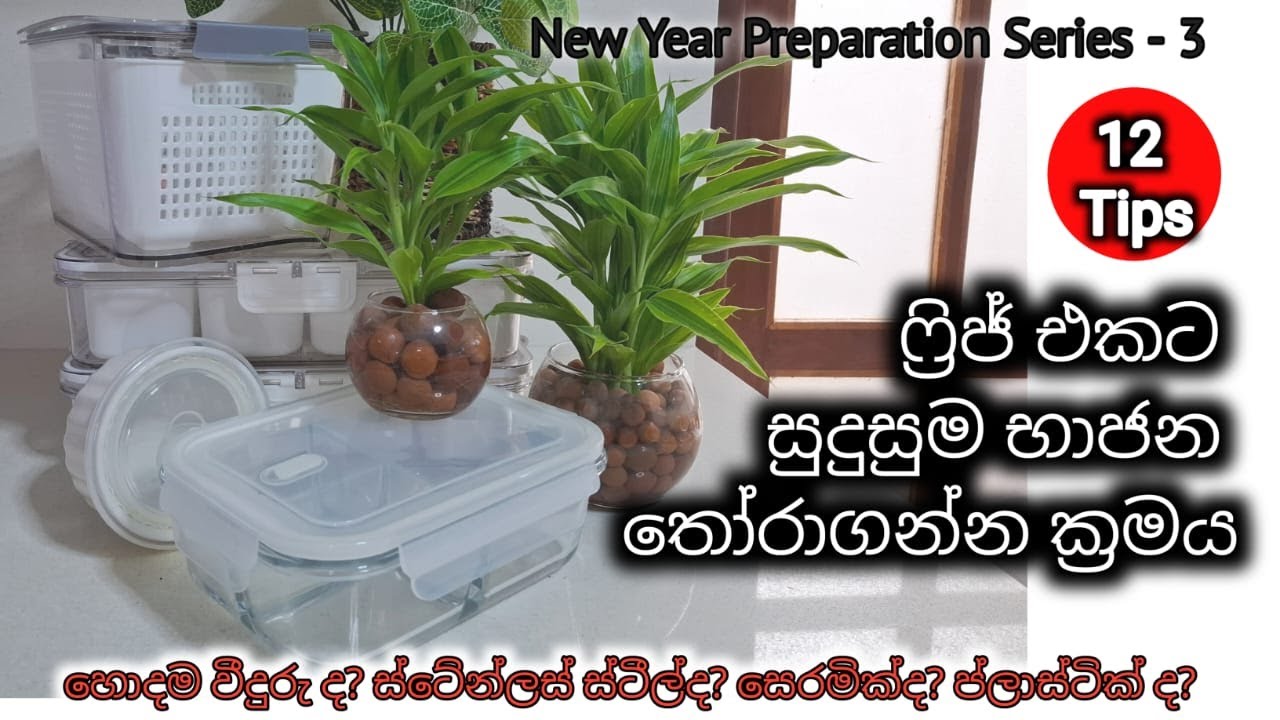 ශීතකරණායේ ආහාර ද්‍රව්‍ය ගබඩා කිරීමට වෙළෙඳපොළේ තියෙන භාජන අතරින් සුදුසුම ඒවා මෙහෙම තෝරගන්න | Sinhala