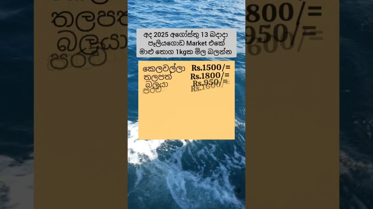 Today fish price list in peliyagoda 2025.08.13 #fishprice #fishingvideo