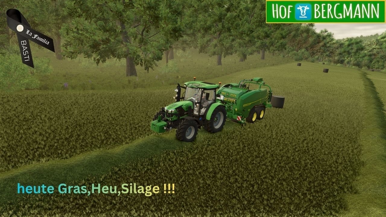 Hof Bergmann  # 48 Gras,Heu,Silage