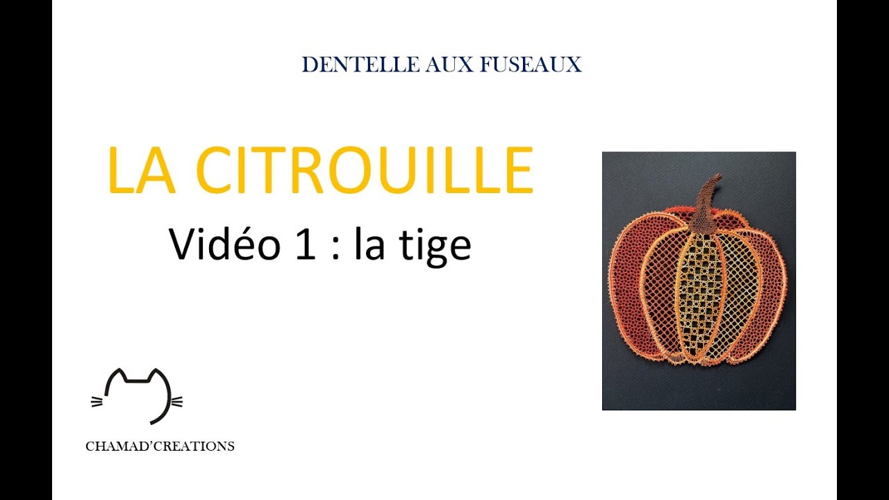 LA CITROUILLE Vidéo 1 La tige de la citrouille