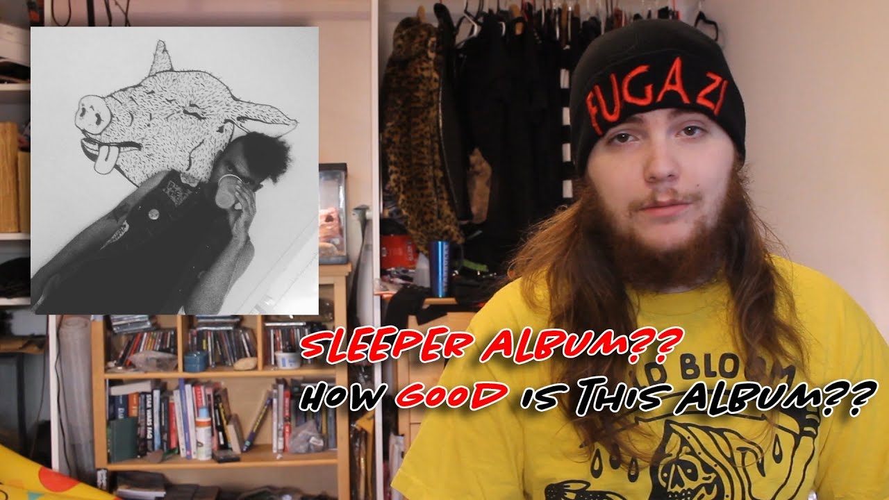 (REVIEW) Counter Culture Shock! -Andy Warpigs