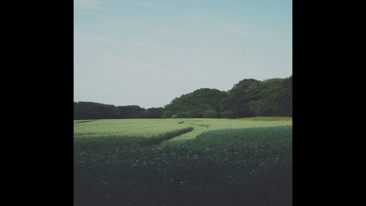 ✰free// 