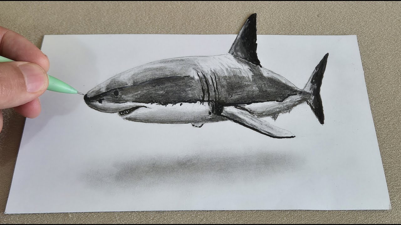 3d drawing shark on paper - how to draw 3d shark