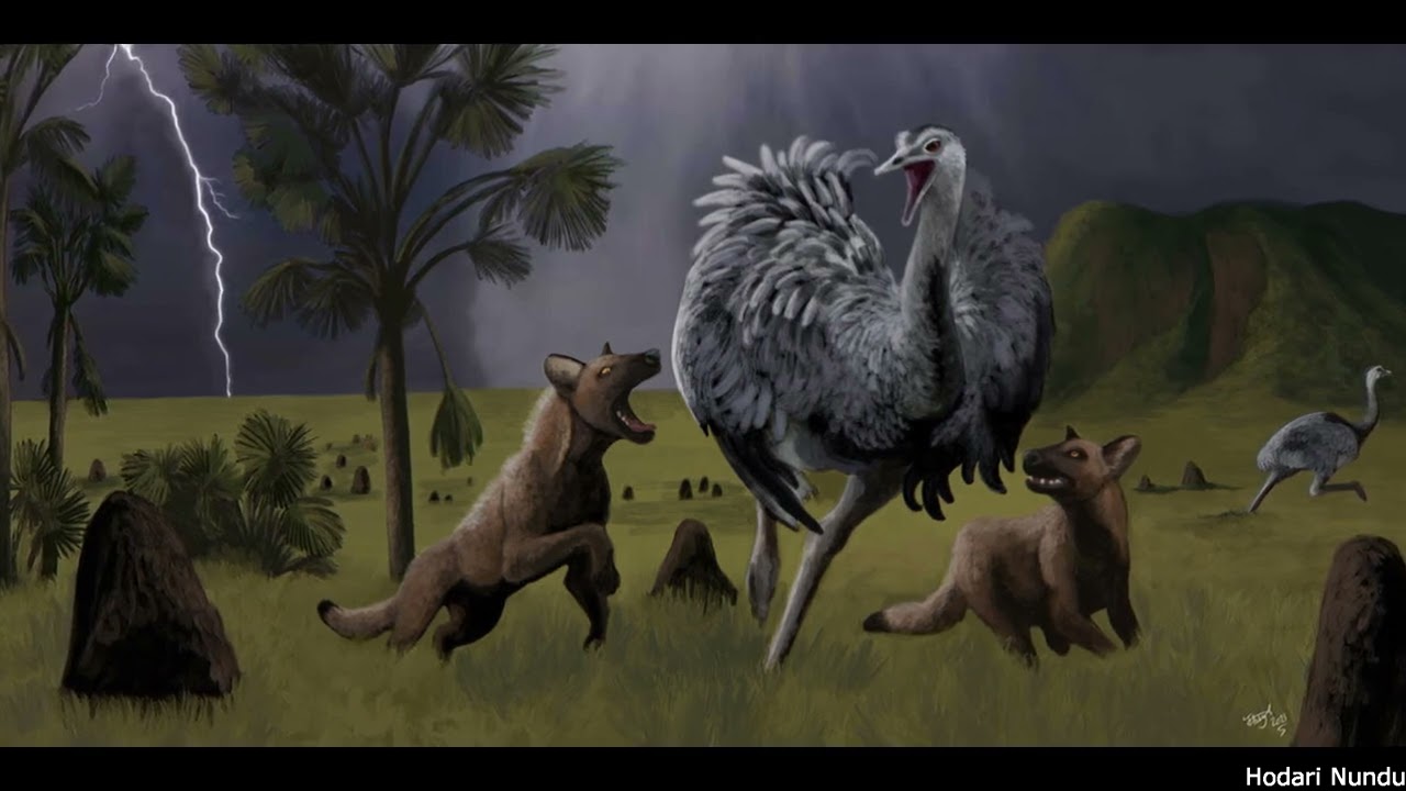 Cerdocyonina: South America's Unique Canines
