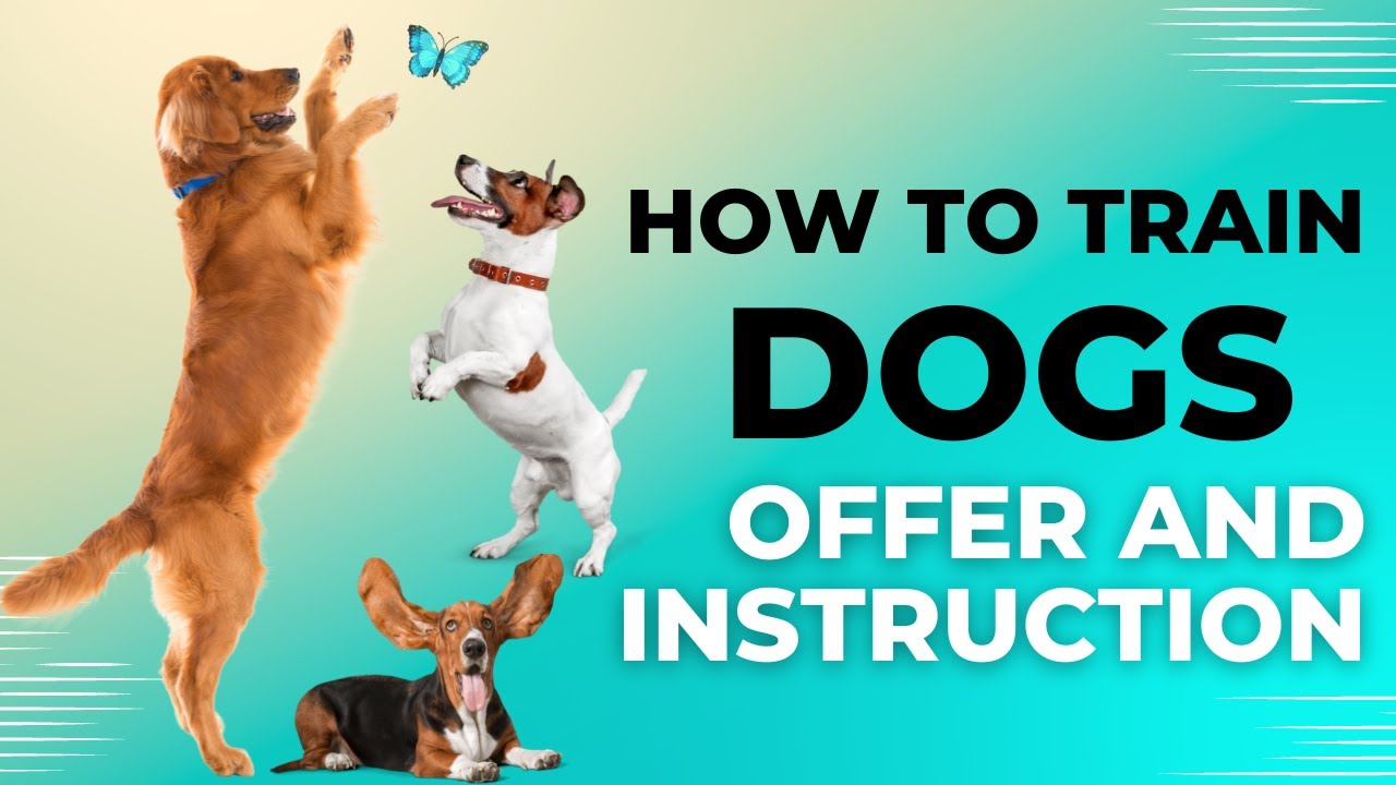Unbelievable Trick to Train Any Dog Instantly!