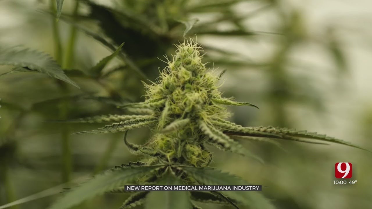 Report: Oklahoma Has &lsquo;Most Accessible&rsquo; Medical Marijuana Industry In U.S.