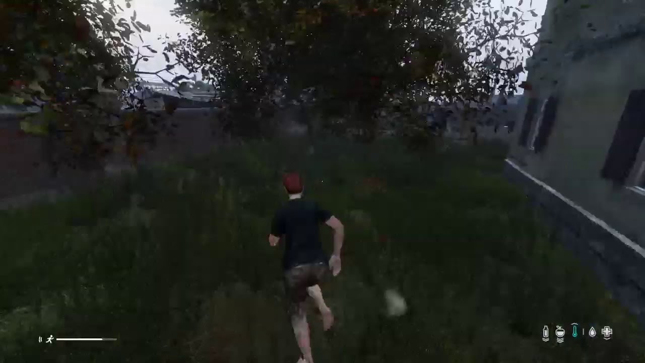Dayz Community server | Server hopping