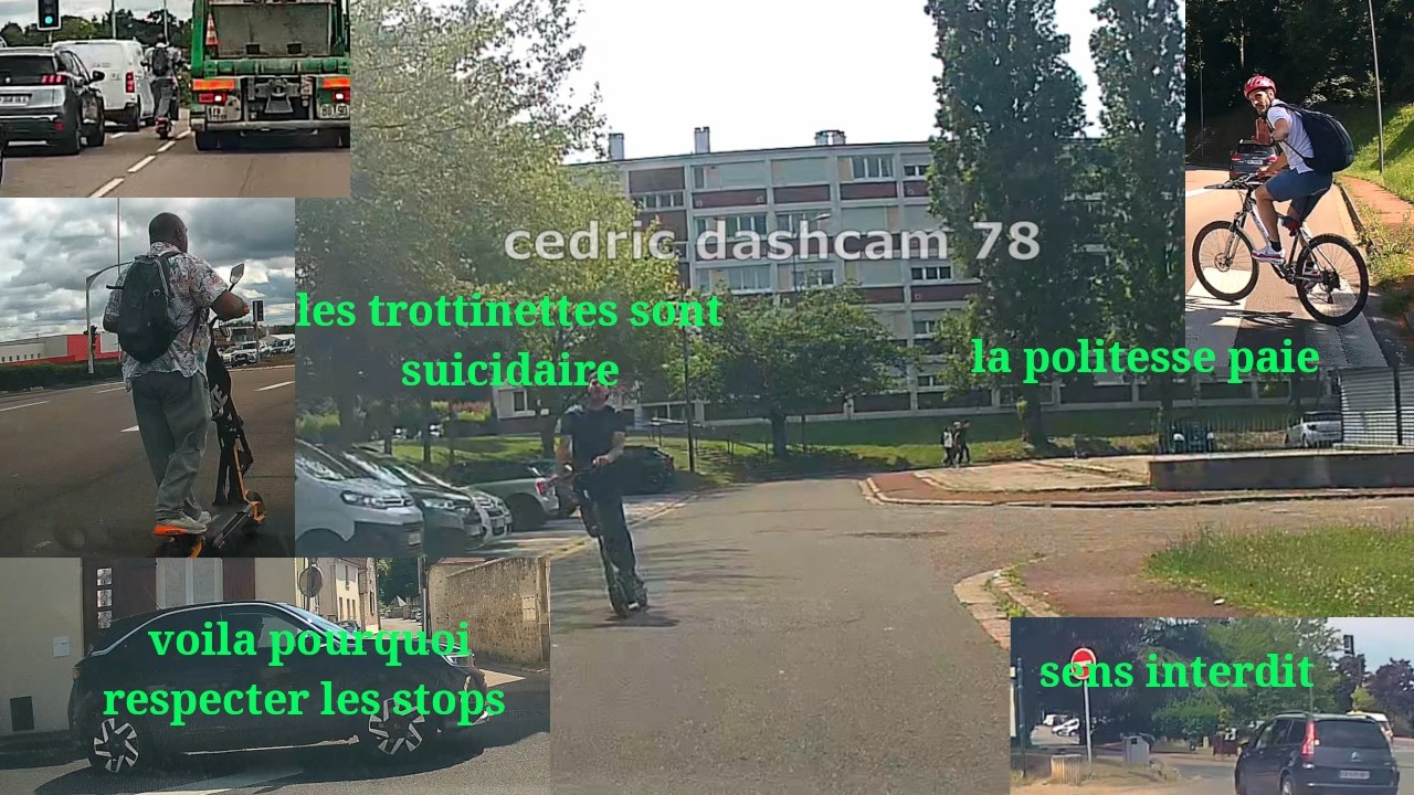 daily obs 262 ou comment les trottinettes veulent se tuer