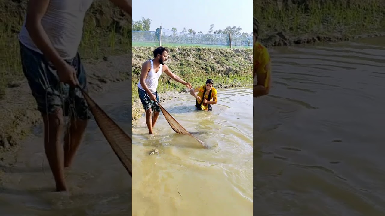 কি করে মাছ দরতে আসে #viralvideo 