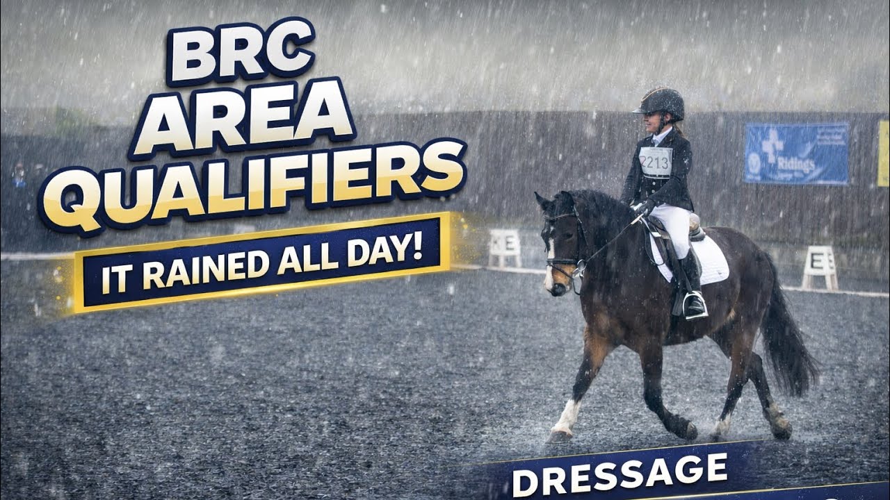 BRC Area Qualifiers Dressage | Riding Intro 2 & Prelim 2 in the Rain