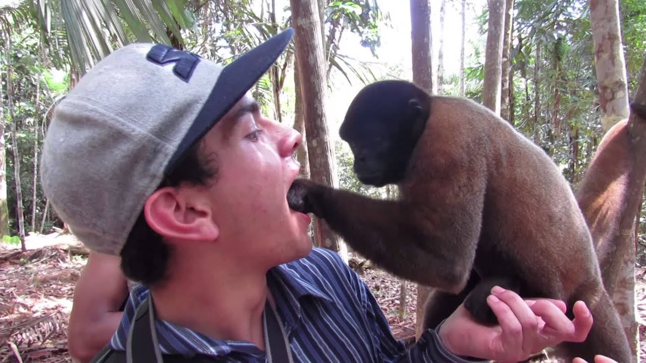 Experiencia Amazónica