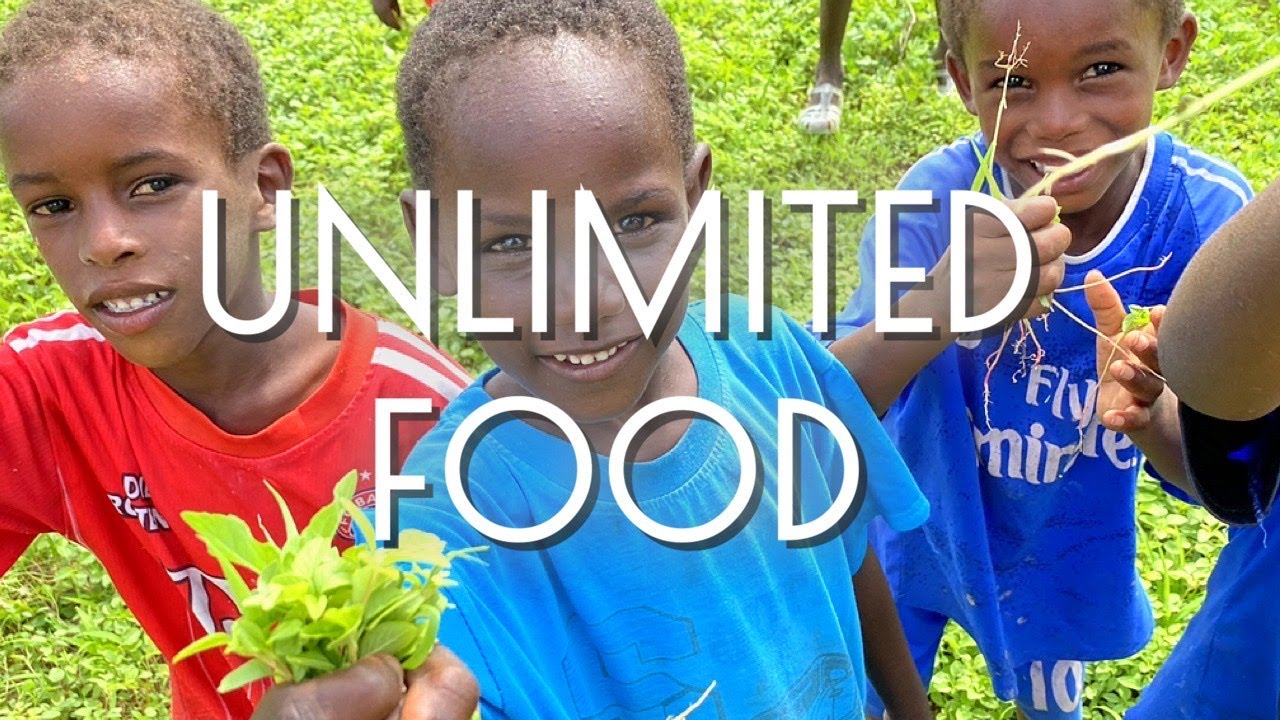 African Food and Medicine Forest in Senegal - Tolou Keur