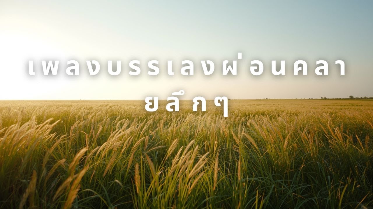 ดนตรีสมาธิสำหรับเช้าใหม่ | เริ่มต้นวันอย่างสงบและมีสติ 2026