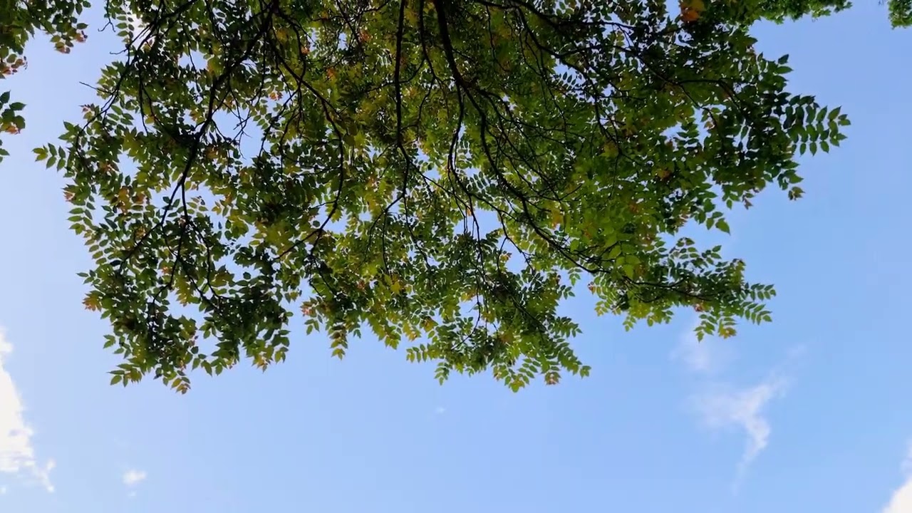 Walking at Villa Varda Park, Brugnera 🇮🇹 |Al Parco di Villa Varda