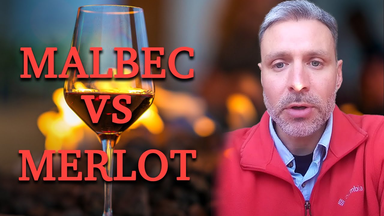 Malbec vs Merlot: A Full Rundown