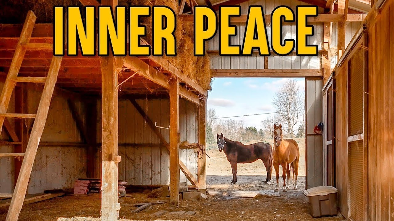 INNER PEACE on 10 acres, Multigenerational House, Barn, Pond, Creek, Lexington, Kentucky Real Estate