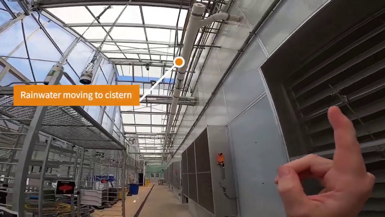 Rainwater Harvesting at the Smithsonian Gardens Greenhouse