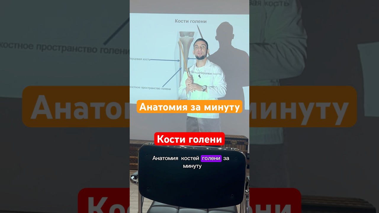 Кости голени #анатомия #врач #медицина #студентмедик #голень #кости #shortvideo #shorts #short