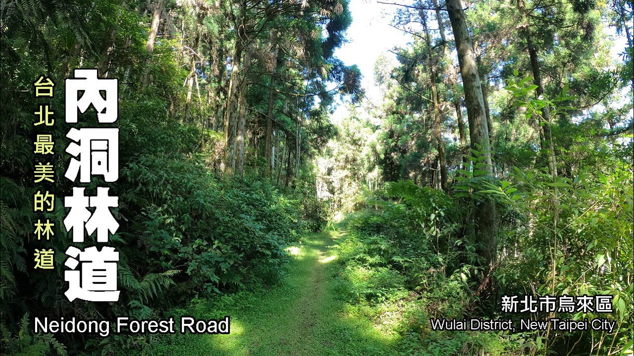 台北最美的林道～烏來．內洞林道（Neidong Forest Road）