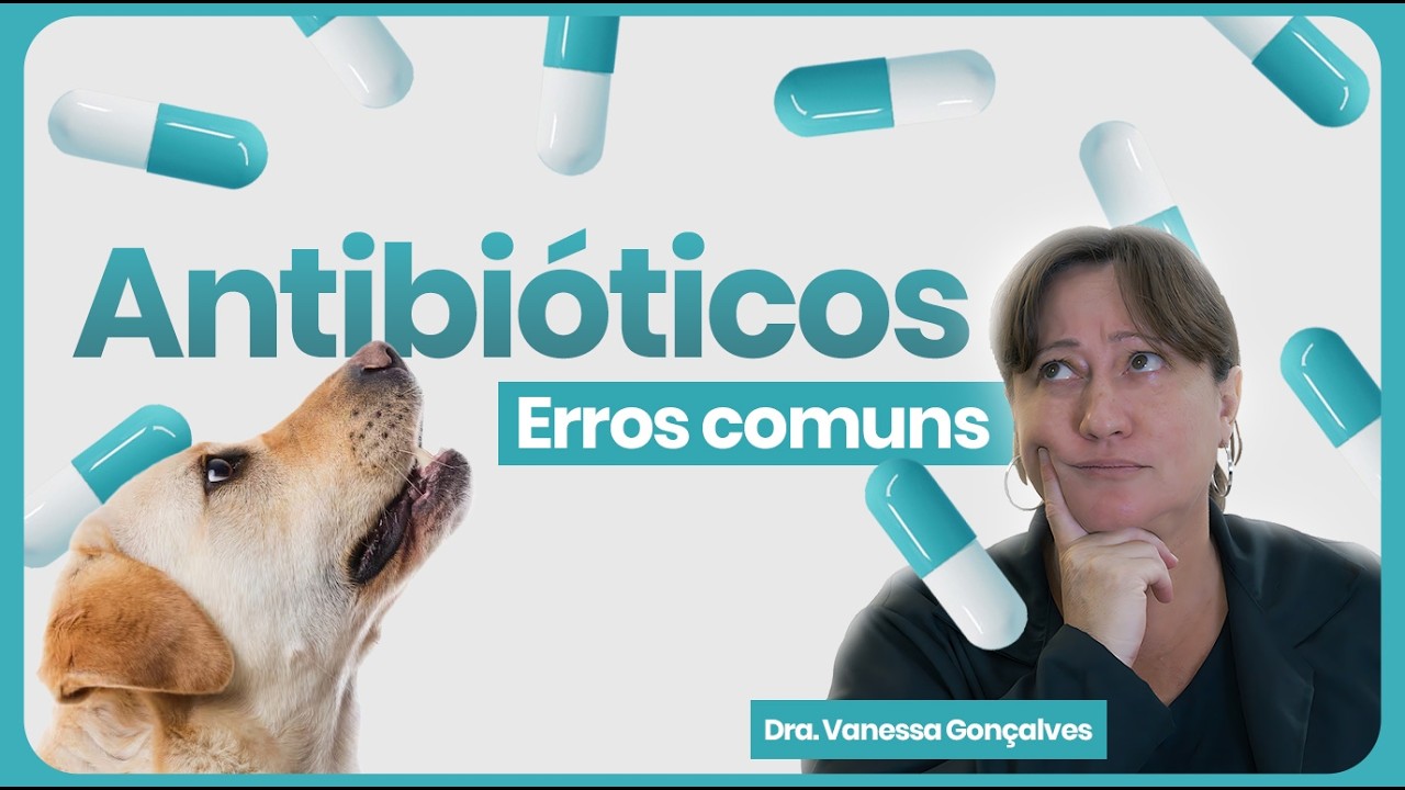 Principais Erros no Uso de Antibióticos em Animais e Como Evitá-los -    Vanessa Gonçalves
