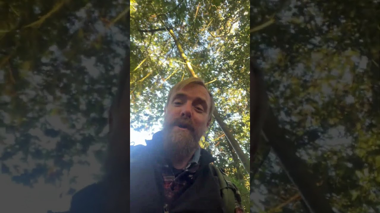 Léargas: Mushroom Music & Movement | DJ Set + Live Sound Ceremony 