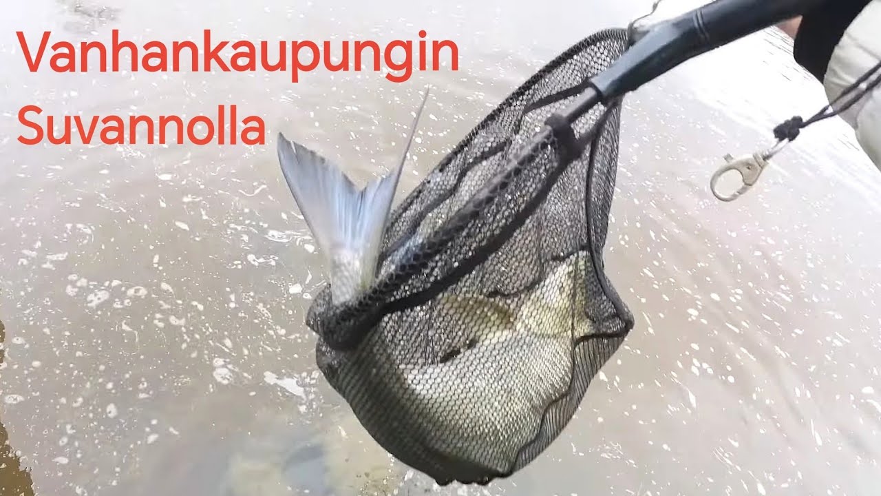 JÄÄTÄVÄ TOUTAIN, mutta...