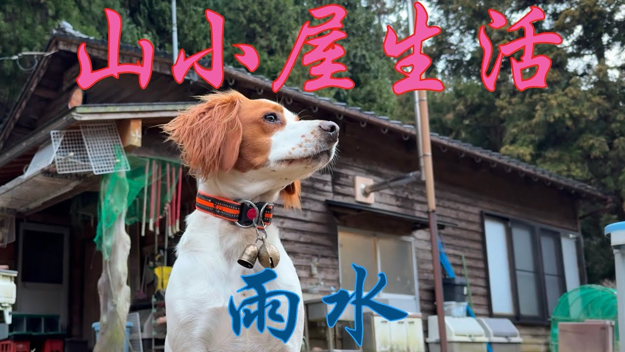 山小屋生活2026〜雨水