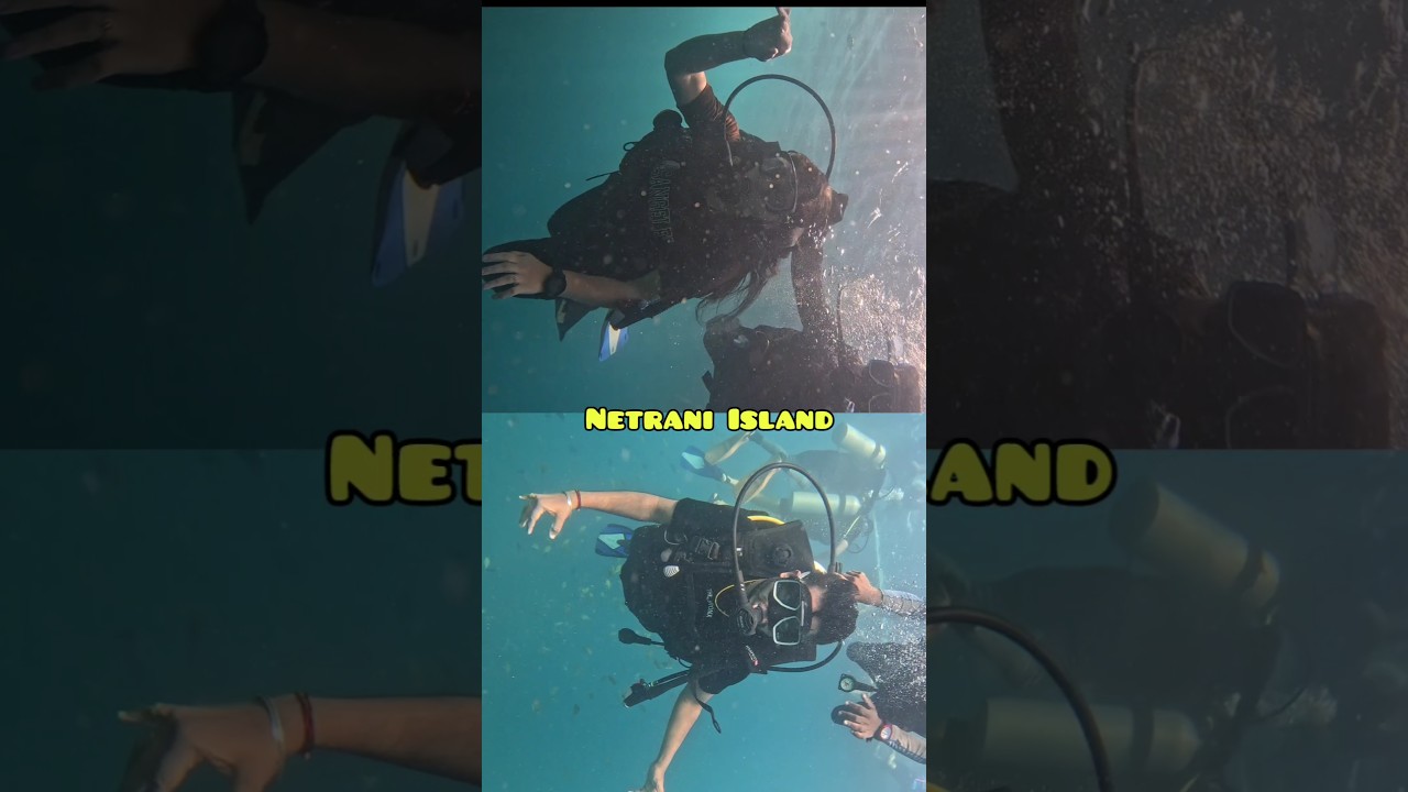 2026 started with the best note for us... Scuba dive, lifetime experience for us.