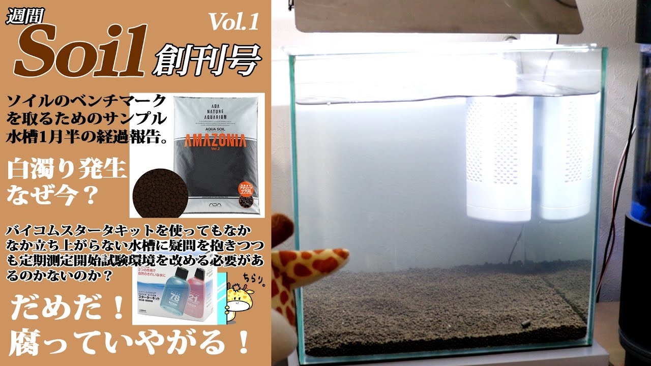 アマゾニア水槽立上げ。1月以上から回し状態からまさかの白濁り【ソイルベンチ】