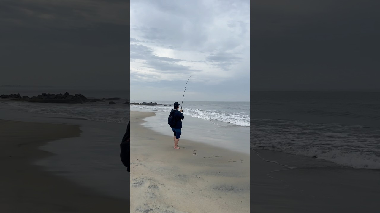 Surf Action #sandiego #sandiegofishing #coronado #surffishing #corvina #surfcasting  #sd #sdfishing