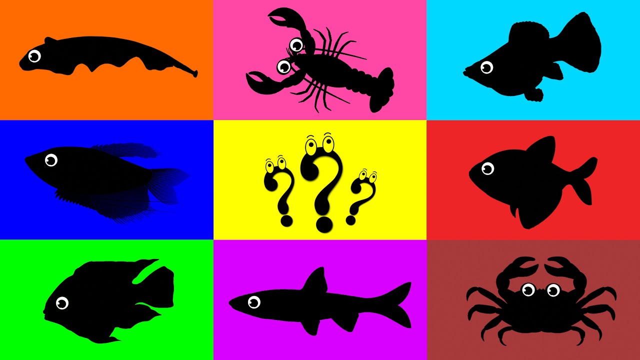 Fish: Molly Fish, Glofish Tetra, Blue Polar, Cichlid, Rainbow Shark, Crab, Lobster, Dolphin, Gourami